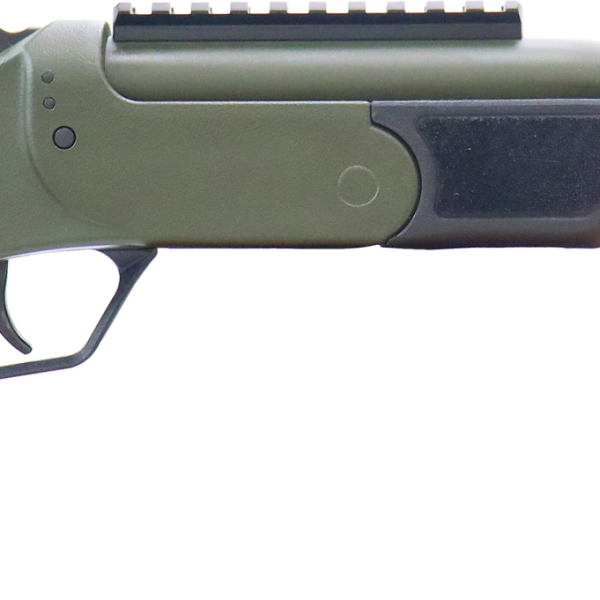 ROSSI BRAWLER 300BLK 9" BL/ODG     #