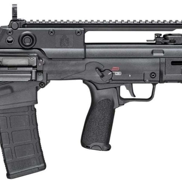 Springfield Armory Hellion — .223/5.56, 16"