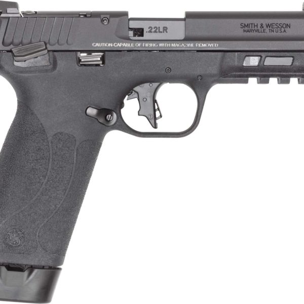 Smith & Wesson M&P — .22 LR, 20+1