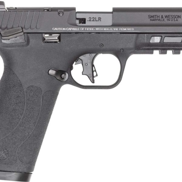 Smith & Wesson M&P — .22 LR, 10+1