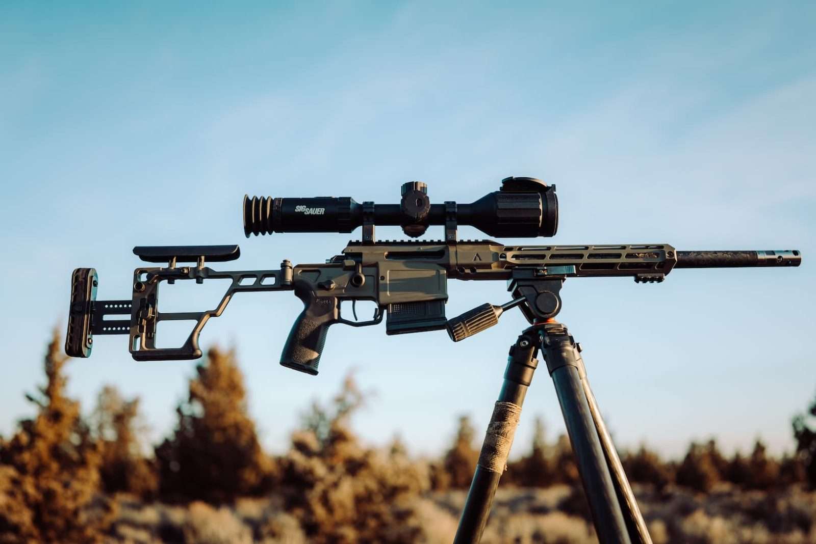 SIG thermal optic on a bolt rifle