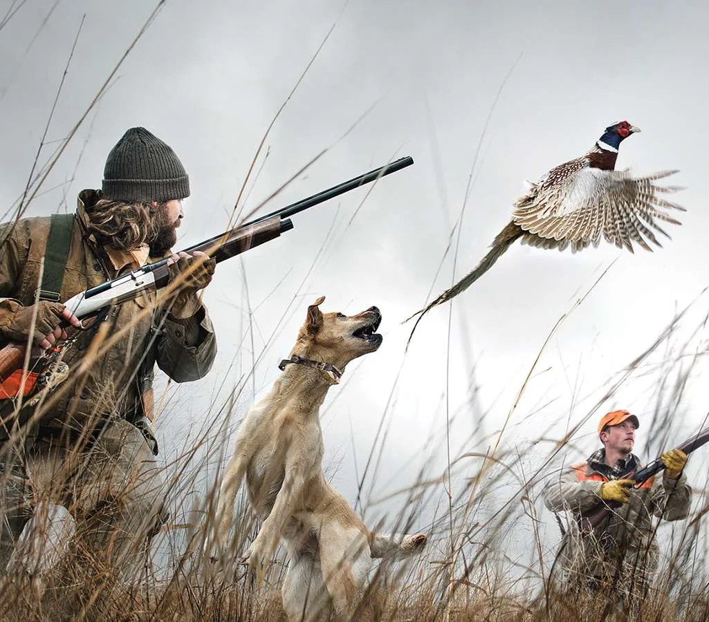 Upland hunter swinging a Benelli Ethos on a flushing bird