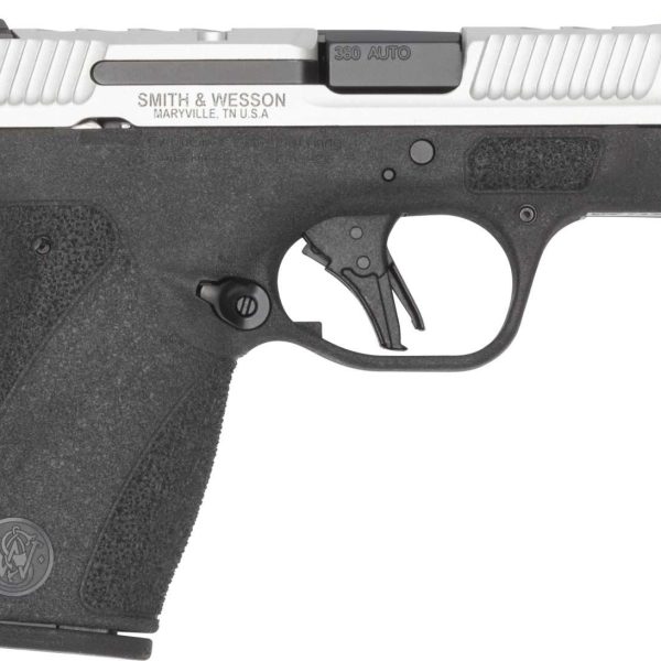 S&W BG2.0PC CC 380 2TNE NT DE