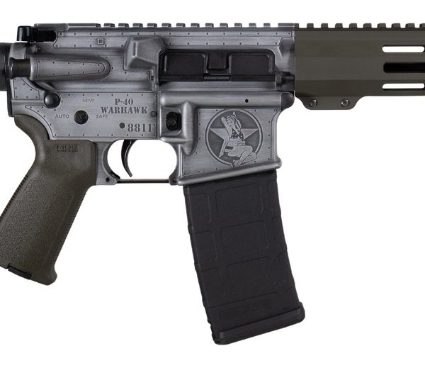 Shark Coast Tactical SCC07336BOMB-P Bomber 5.56 NATO 30+1 10.50" Black Nitride Threaded Barrel, Aluminum Receiver w/Picatinny Rail, M-LOK Handguard, Polymer SB Tactical SBA3 Brace, Magpul MOE Grip, Ri