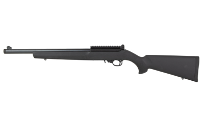 Ruger 10/22 — .22 LR, 16.12"