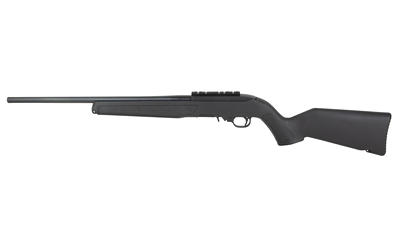 Ruger 10/22 — .22 LR, 18.5"