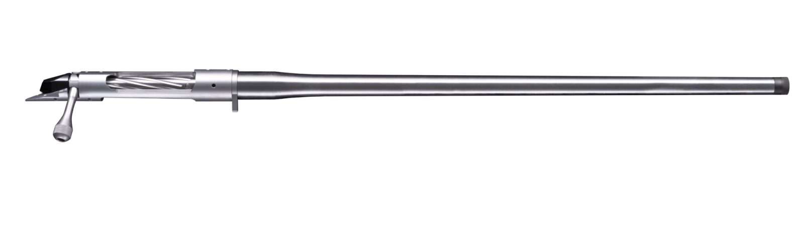 Bgno555100.jpg