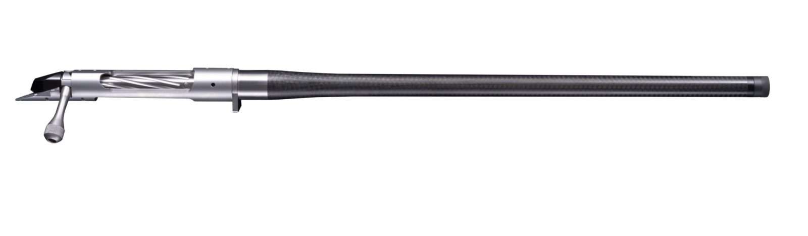 Bgno6028f.jpg