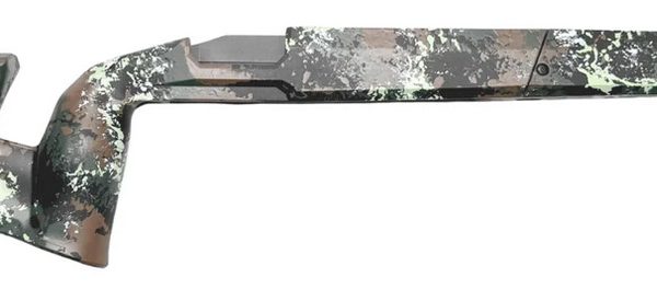 GRAYBOE STOCK HALO TIMBER