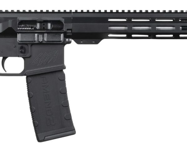 GLFA AR-15 223WYL 16 SS BLK RECEIVER 30RD