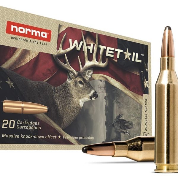 NOR 243 WIN 100GR WTSP 20RD