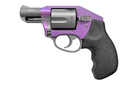 0010711_charter-arms-lavender-lady-38-special-2-5rd-compact-grip-lavenderstainless-steel.jpeg