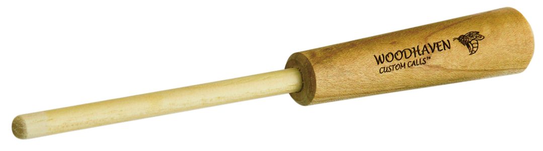 121579.jpg