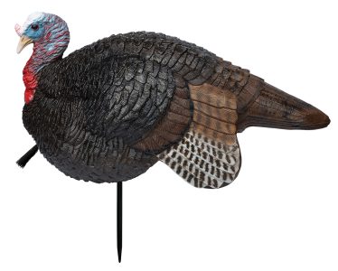 151769