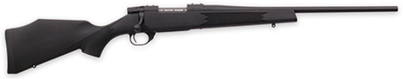 165915.jpg