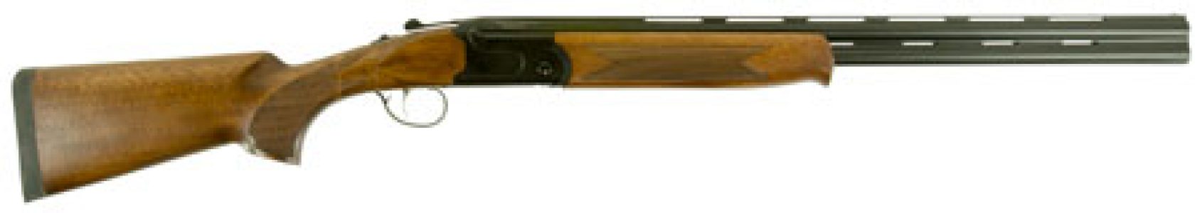 24726-2.jpg
