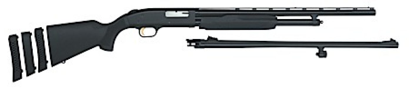 53807.jpg