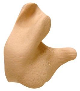 58929.jpg
