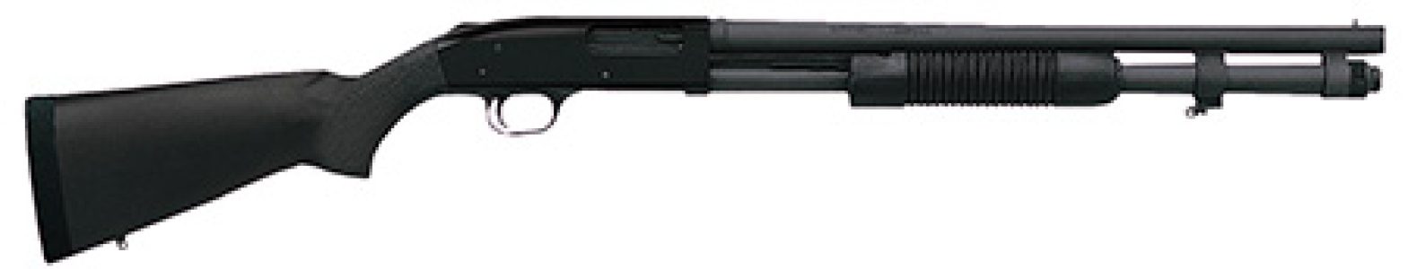 81179.jpg