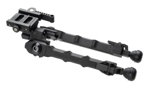 ACCUSRASQD-G205_1.jpg