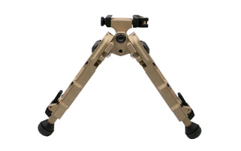 ACCUTBRASQD-G204_1