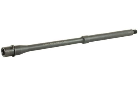 BABL556015M_1.jpg