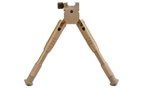 CAL534455_1.jpg