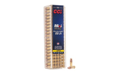 CCI31_1.jpg