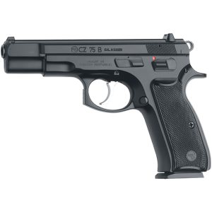 CZ2001102.jpg