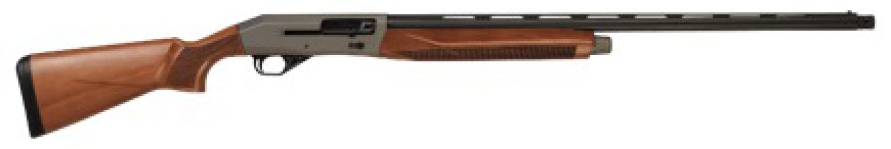 CZ2006136.jpg