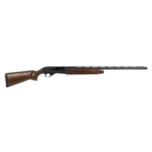 CZ2006167
