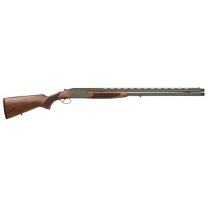 CZ2006410.jpg