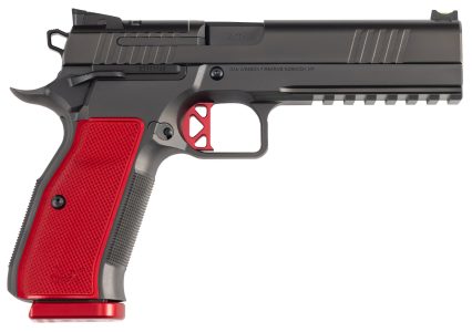 CZ2092013