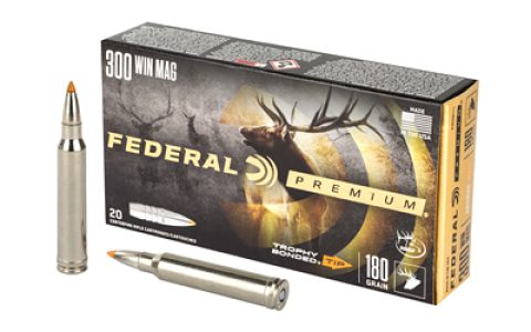 FEP300WTT1_1