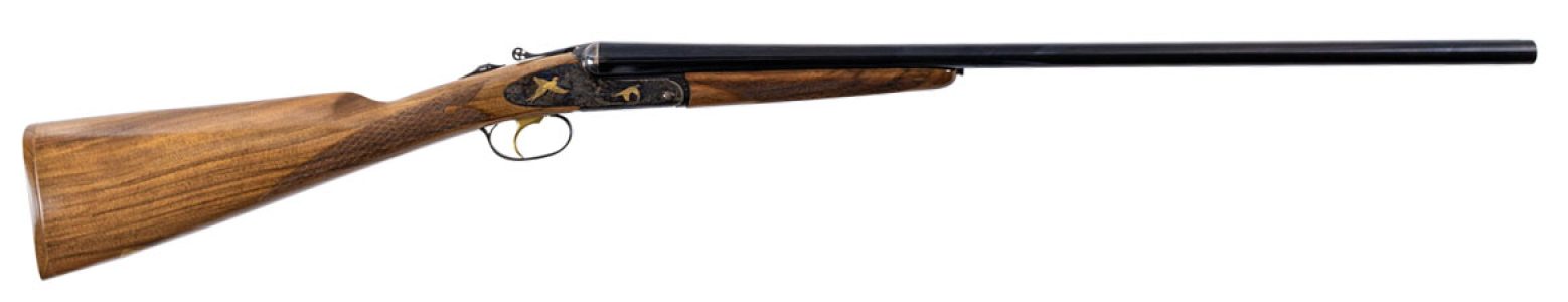 IFG20FRISPRTGDL2828