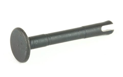 KNSPERMA_1.jpg