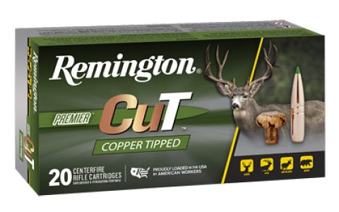 REMR22335_1