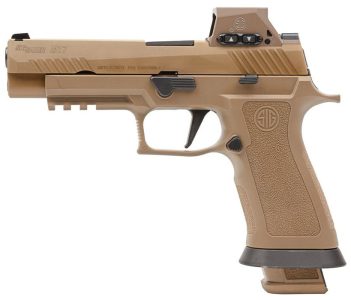 SIG20M17X9RX.jpg