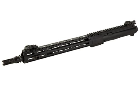 SOLGWSWAMPFOXUPPER_1