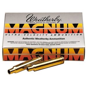WBY20BRASS240.jpg