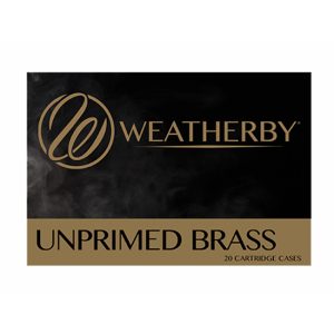 WBY20BRASS65RPM20CT.jpg