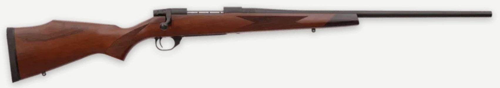 WBY20VDT7MMRR4T.jpg