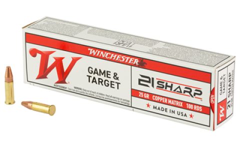 WNS21SLF_1