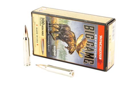 WNS300LR_1