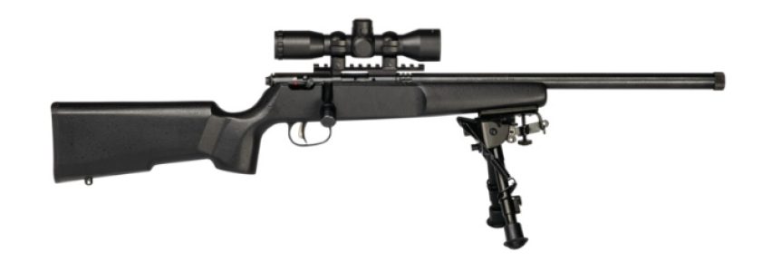 sv13824.jpg